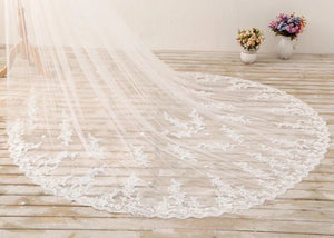 Ivory 3M Lace Appliques Tulle Cathedral Tulle Wedding Veil 