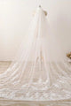 3M Lace Appliques Tulle Cathedral Wedding Veil 