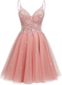 Sparkly Tulle Homecoming Dresses for Teens Mini Cocktail Dress Y2411