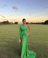 Green One Sleeve Evening Dress With Split,Gala Dress  Y5584