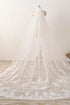 3M Lace Appliques Tulle Cathedral Wedding Veil LBQA0001