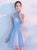Light Blue A Line Tulle Lace Scalloped Homecoming Dress LBQH0041