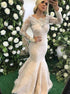 Mermaid Jewel Sweep Train Long Sleeves Pearl Pink Lace Prom Dress LBQ0198