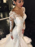 Mermaid Long Sleeves Lace V Neck Tulle Wedding Dresses LBQW0025