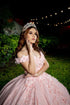 Tulle Princess Off-the-shoulder Appliqués Long Formal Prom Dress ZXS615