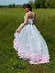 A Line V Neck Floor Length Appliques Blue and Pink Prom Dresses