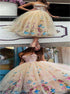 A Line Strapless Tulle Appliques Prom Dress LBQ1095
