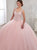 Ball Gown Tulle Bateau Appliques Floor Length Prom Dresses