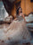 A Line Sweetheart Tulle Beading Sleeveless Prom Dress LBQ2753
