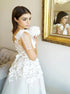 A Line Tulle V Neck Sleeveless Applique Lace Backless Prom Dresses LBQ2417