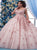 Scoop Ball Gown Lace Appliques Tulle Prom Dresses