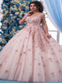 Scoop Ball Gown Lace Appliques Tulle Prom Dress LBQ1852