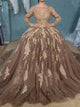 Ball Gown Long Sleeves Tulle Appliques Open Back Prom Dresses