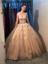 Ball Gown V Neck Tulle Appliques Floor Length Prom Dress LBQ1910