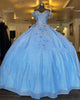 Tulle Princess Off-the-shoulder Appliqués Long Formal Prom Dress ZXS615