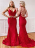 Mermaid Spaghetti Straps V Neck Tulle Appliques Prom Dress LBQ4280