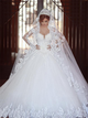 Ball Gown Long Sleeves Sweetheart Tulle Appliques Wedding Dresses